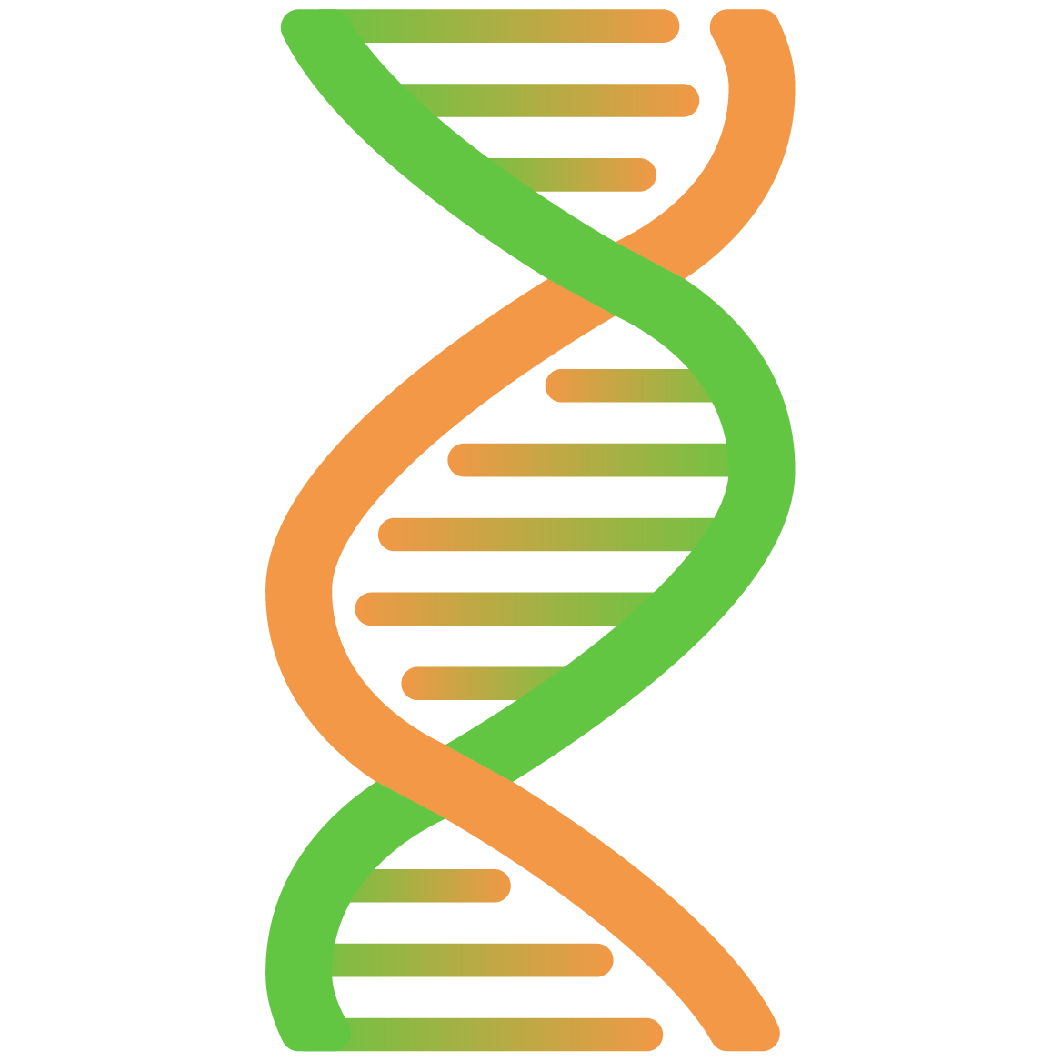 DNA