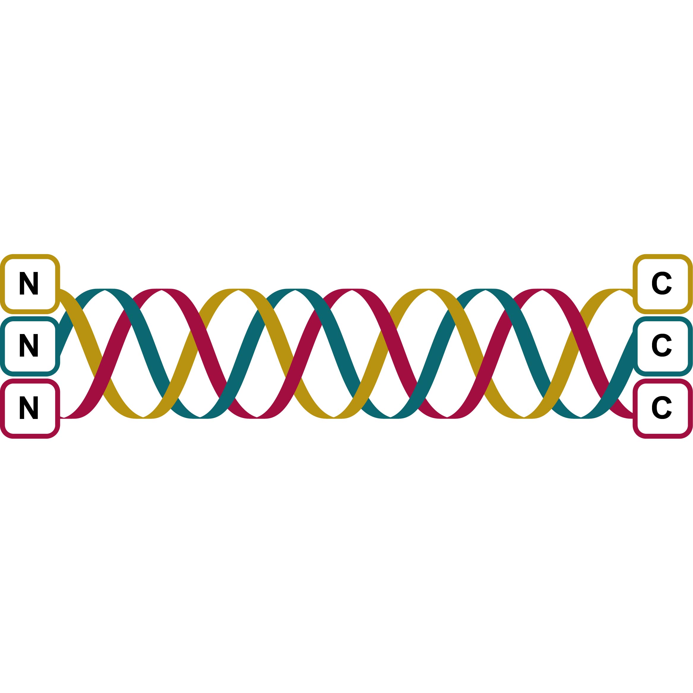 DNA